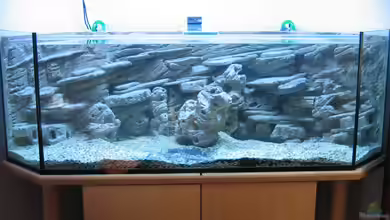 Becken 699 von Marc Schaeffer