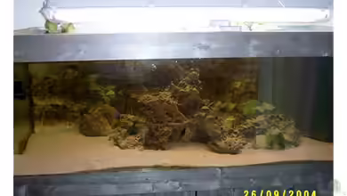 Becken 703 von Philipp Schmid