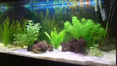 Becken 7111 von Alexandra1987