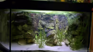 Becken 714 von Tobias Geldhauser