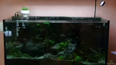 Becken 7165 von Werner Wittwer