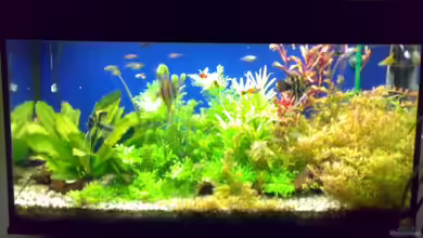 Becken 7174 von Sven Kaussow