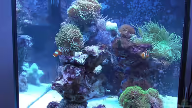 Becken 7190 von Sebastian Zunhammer