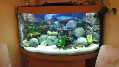 Becken 7200 von Cali20