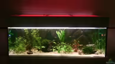 Becken 7210 von Tati