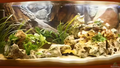 Becken 7263 von Svenson