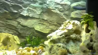 Becken 7327 von Christopher Hofmann