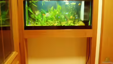 Becken 733 von Michael Spillner