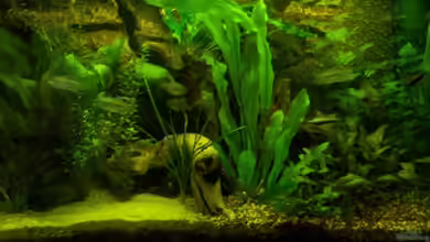 Becken 7339 von Slap-Fighter-FCN