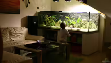 Becken 7342 von Thomas Szöts