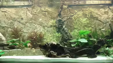 Becken 7350 von Florian Kallinger