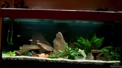 Becken 7382 von Benedikt Zimmermann