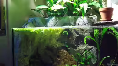 Becken 7393 von AndiX