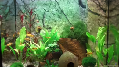 Becken 7427 von Florian Glaser