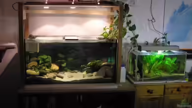 Becken 745 von Tim-Kevin Sobotta