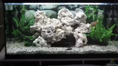 Becken 7460 von Michael Mahnken