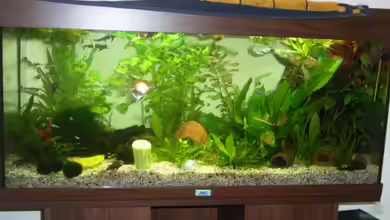 Becken 7551 von Joernfie