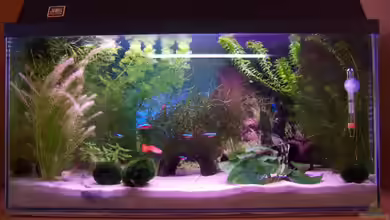 Becken 7571 von Ella Vöge