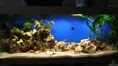 Becken 7579 von Steffen Kluge