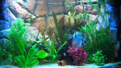 Becken 7588 von Markus Gura