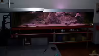 Becken 7610 (nur noch als beispiel) von Albert