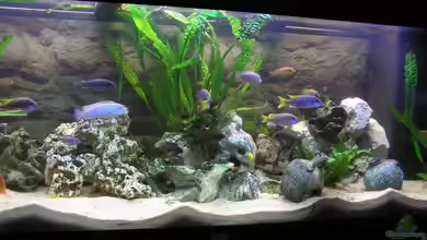 Becken 7645 von Markus Keller