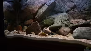 Becken 771 von Oliver Vieth