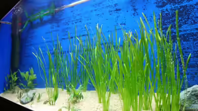 Becken 7728 von Matthias Grobitzsch