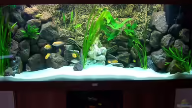 Becken 7768 von Markus Lammert