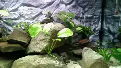 Becken 7813 von Sleeper1981