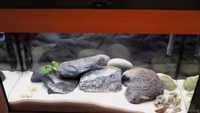 Becken 788 von Oliver Vieth