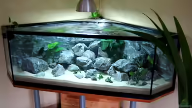 Becken 7883 von Horst Gennat