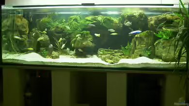 Becken 790 von Thorsten Peetz