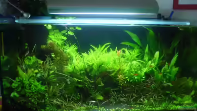 Becken 793 von Christoph Grote