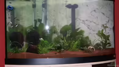 Becken 7968 von Stefanie Mohr