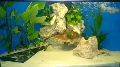 Becken 807 von Christian Köster