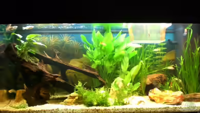 Becken 8100 von SinFin