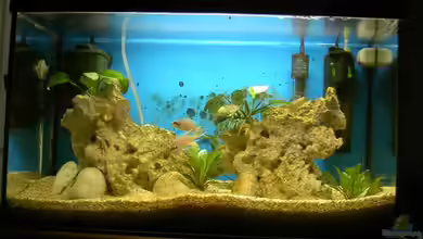 Becken 811 von Kurt Kastl