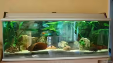 Becken 814 von Rainer Brohmann