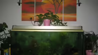 Becken 8156 von Florian Kunkel