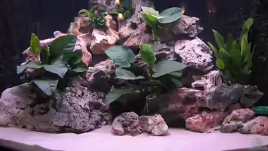 Becken 820 von Björn Klocke