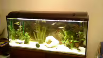 Becken 8241 von Ingo Weiß