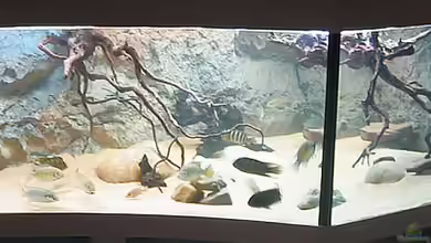 Becken 8248 von Christian Rieke