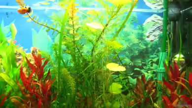 Becken 8311 von andi.B