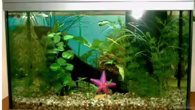 Becken 8325 von Björn Kotte