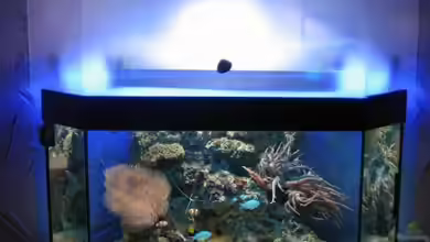 Becken 835 von Markus Rauch