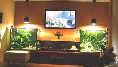 Becken 8353 von Thomas Dresch