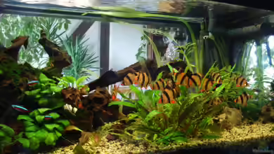 Becken 8375 von Oliver Czaika