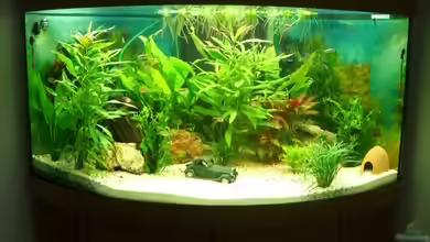 Becken 8407 von KaSa