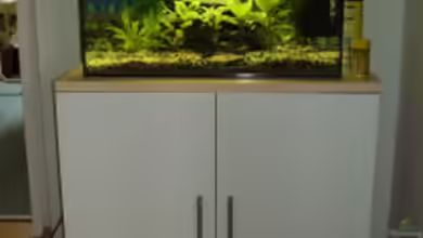 Becken 8422 von LaChica